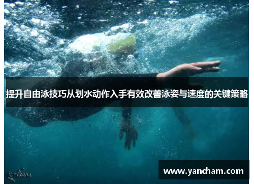 提升自由泳技巧从划水动作入手有效改善泳姿与速度的关键策略