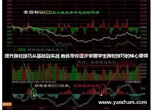 提升跨栏技巧从基础到实战 教练带你逐步掌握学生跨栏技巧的核心要领