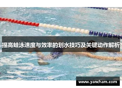 提高蛙泳速度与效率的划水技巧及关键动作解析