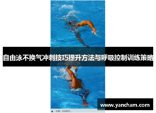 自由泳不换气冲刺技巧提升方法与呼吸控制训练策略