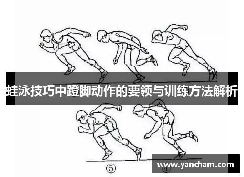 蛙泳技巧中蹬脚动作的要领与训练方法解析