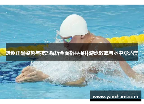 蛙泳正确姿势与技巧解析全面指导提升游泳效率与水中舒适度